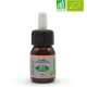 BEAUTÉ DE LA PEAU健康美肤浓缩液