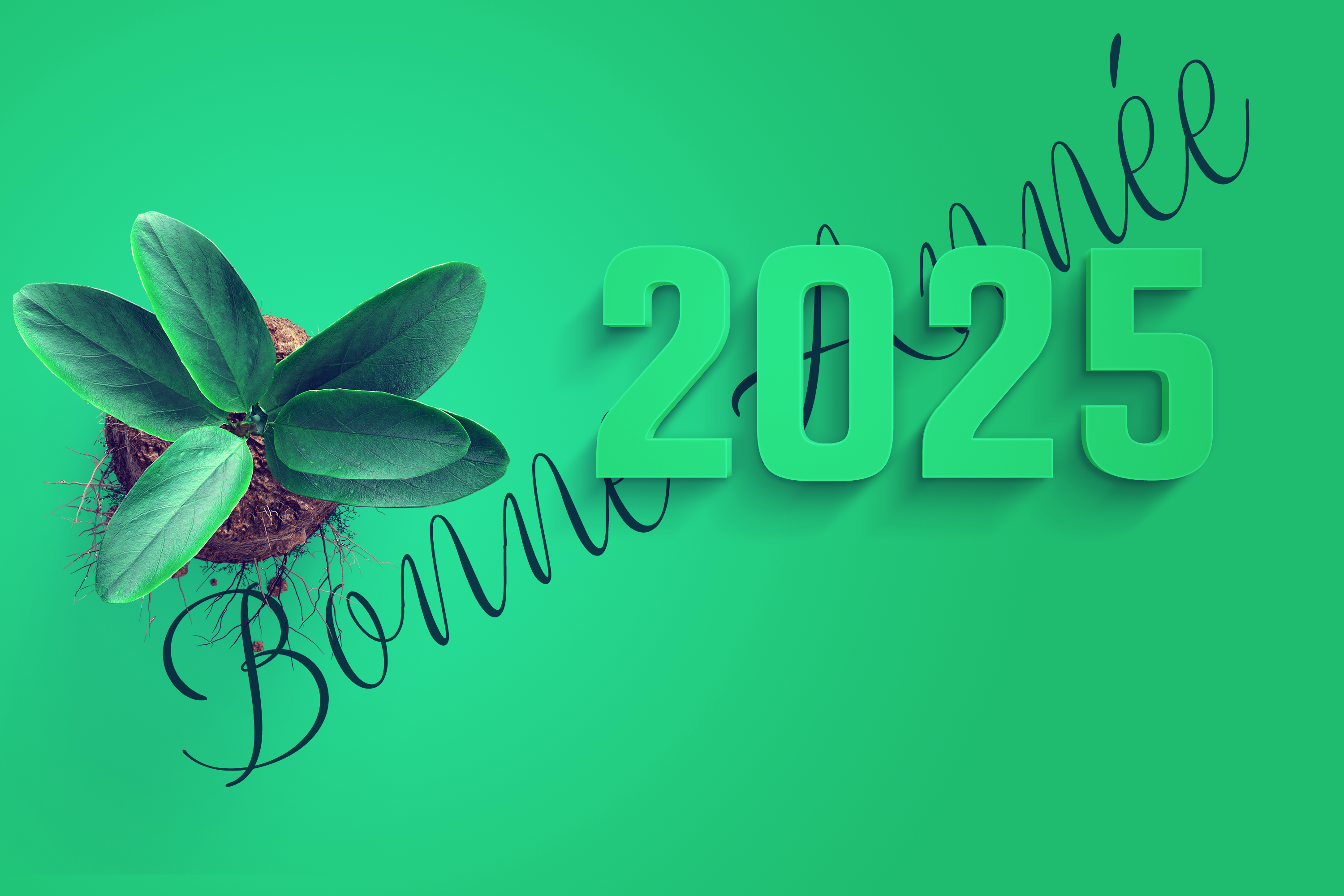 En 2025, retrouvons l’essentiel : santé, sérénité et moments précieux. Que cette nouvelle année vous apporte équilibre et harmonie. 